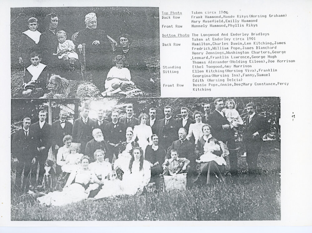 Bradley Family Tree