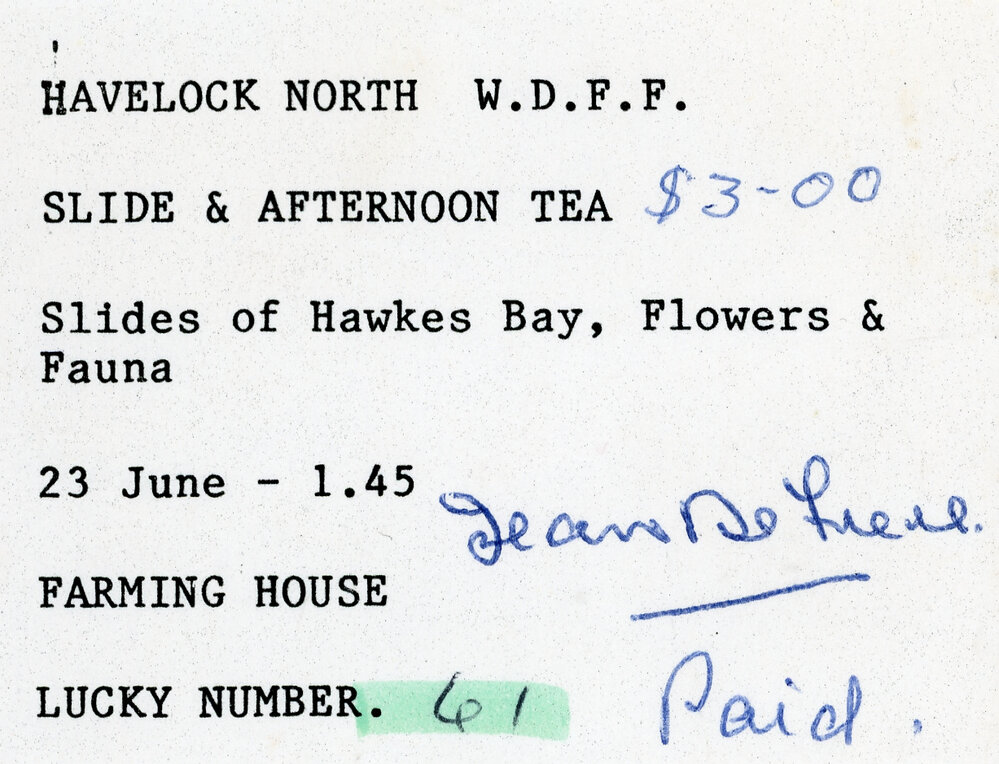 WDFF Slides and Afternoon Tea Ticket