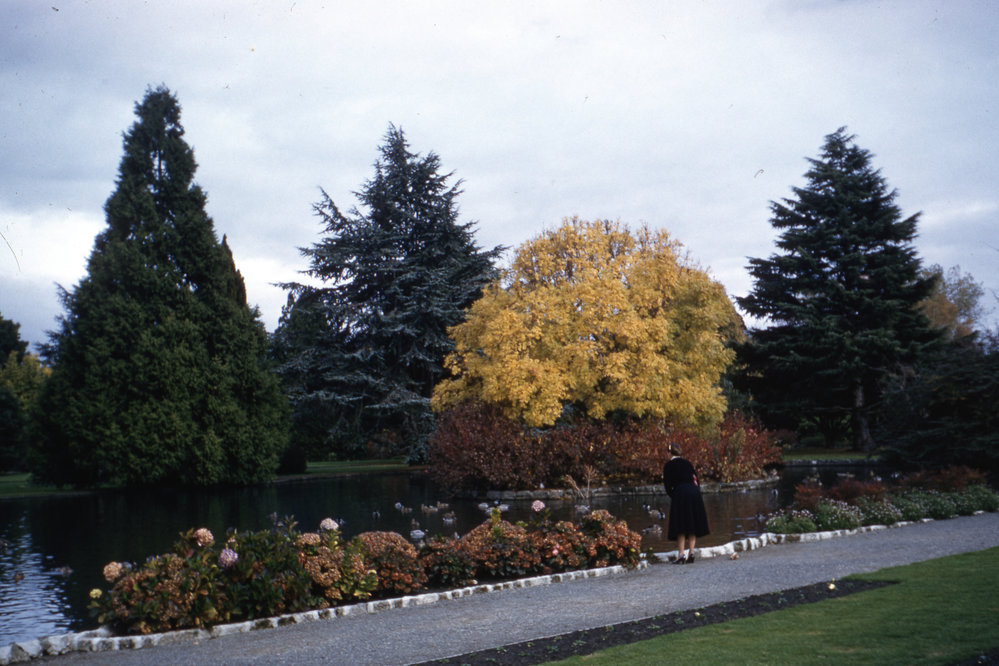 Duck Pond at Cornwall Park, Hastings