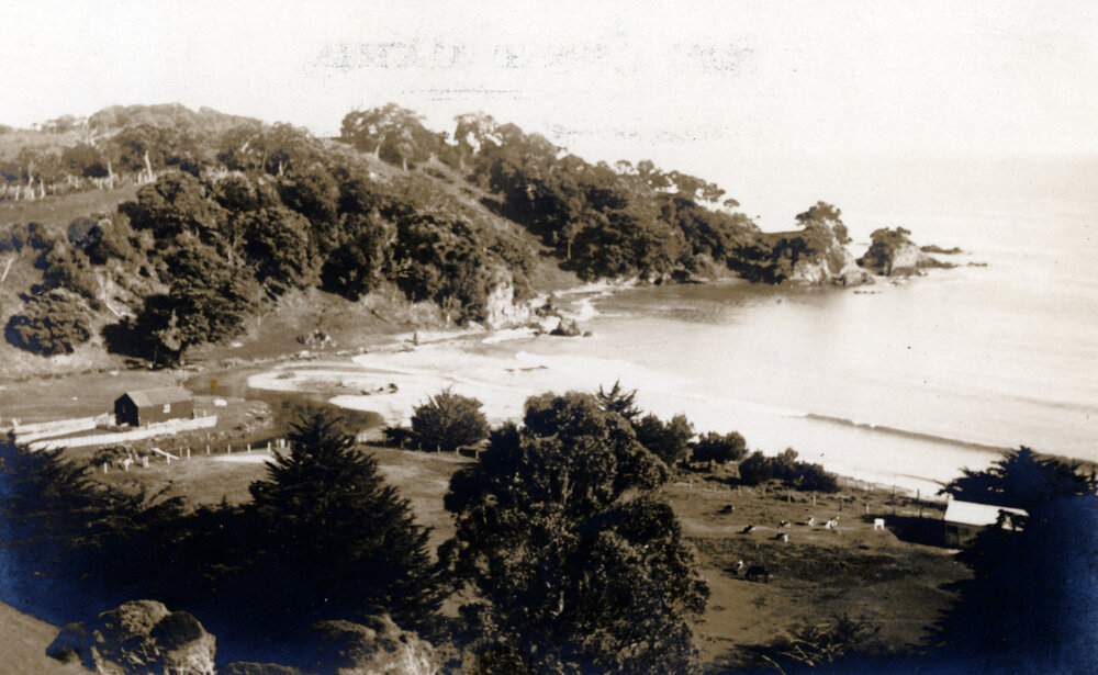 Coastal Rural Setting