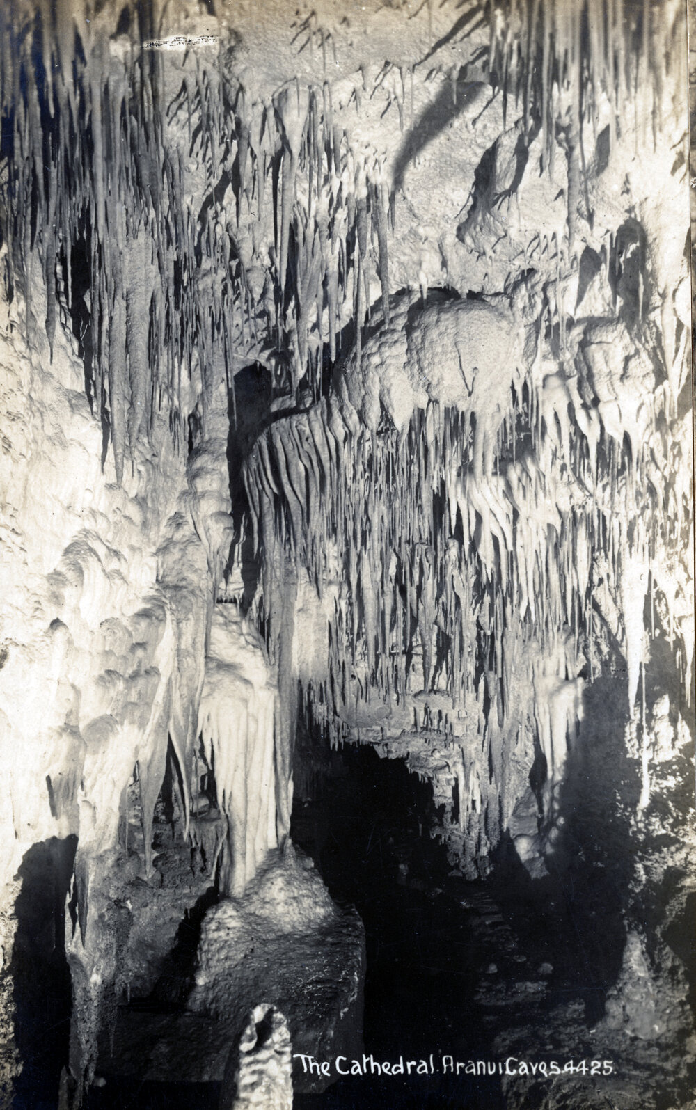Waitomo Caves