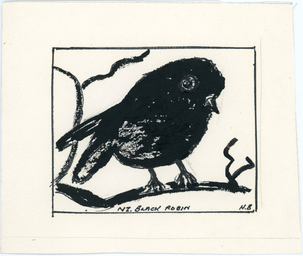 Ink drawing of New Zealand Black Robin