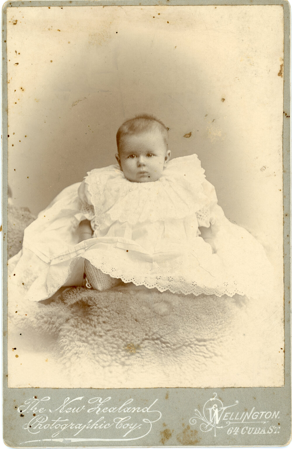 Studio Portrait of Nena Gladys Reid