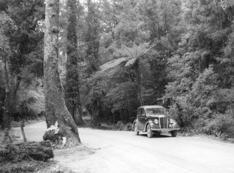 Car on Te Ara-o-Hinehopu Track