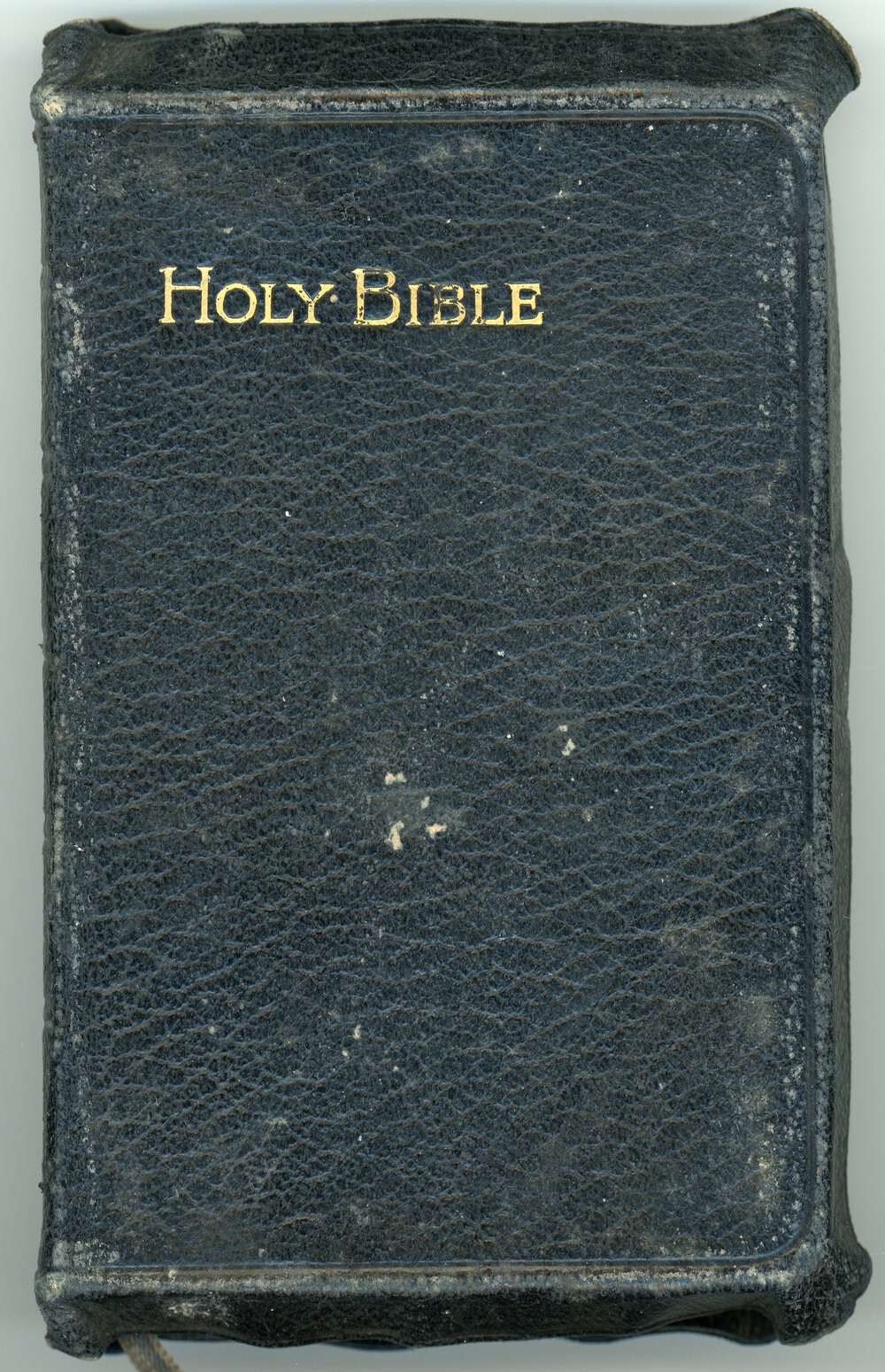 Wellwood: Box of Miscellaneous Artefacts