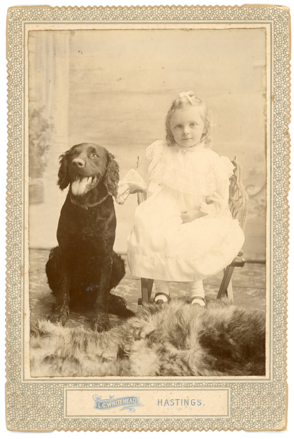 Studio Portrait of a Young Girl and Dog