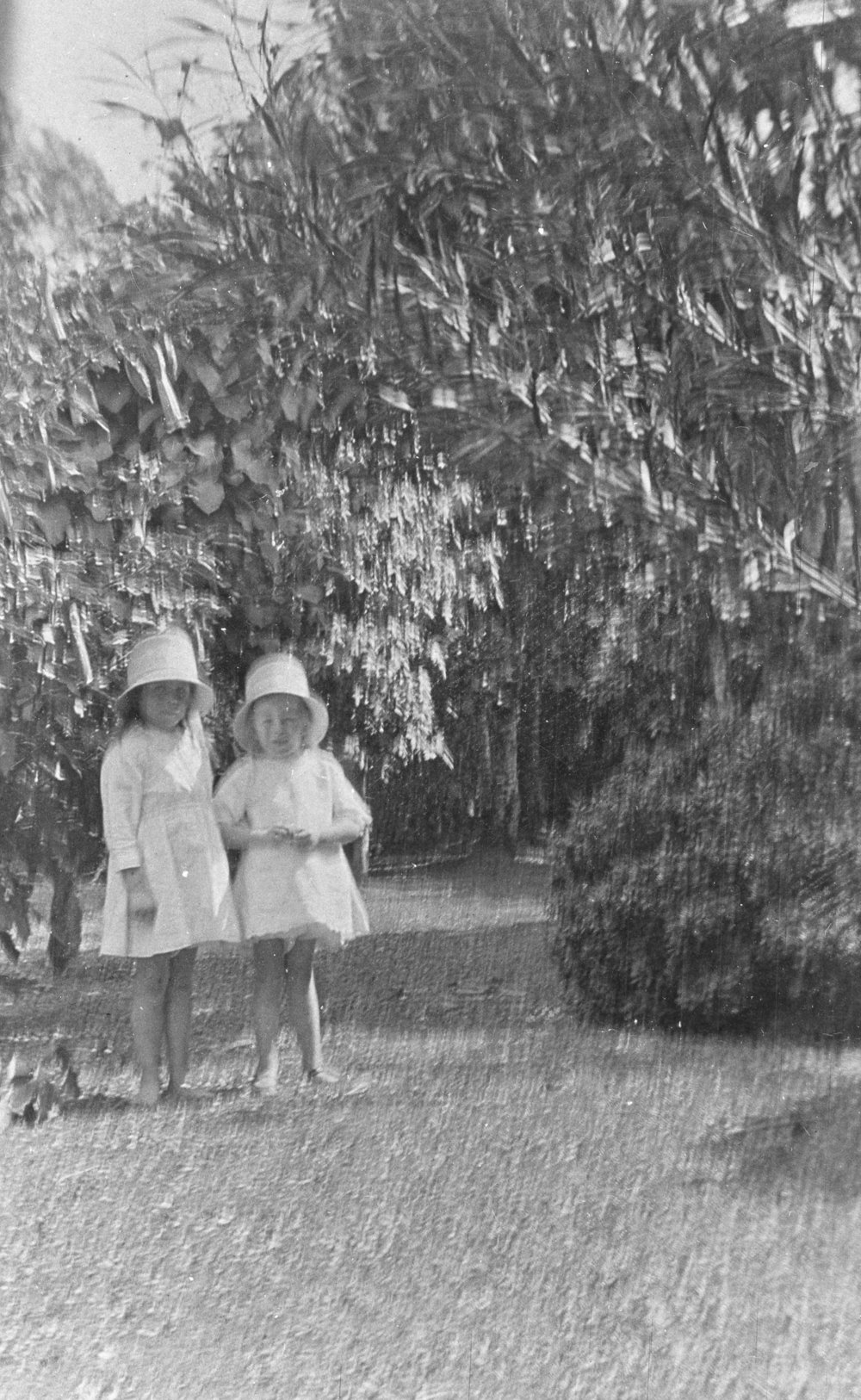 Two Young Girls in a Park