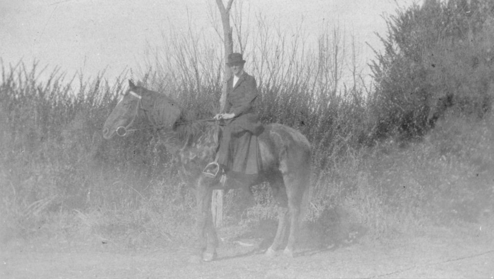 Woman Poses on Horse