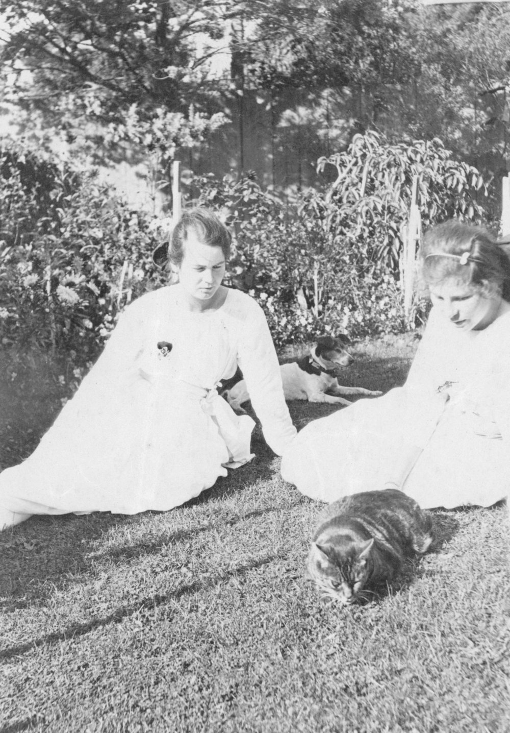 Outdoor Portrait of Two Girls with Pets