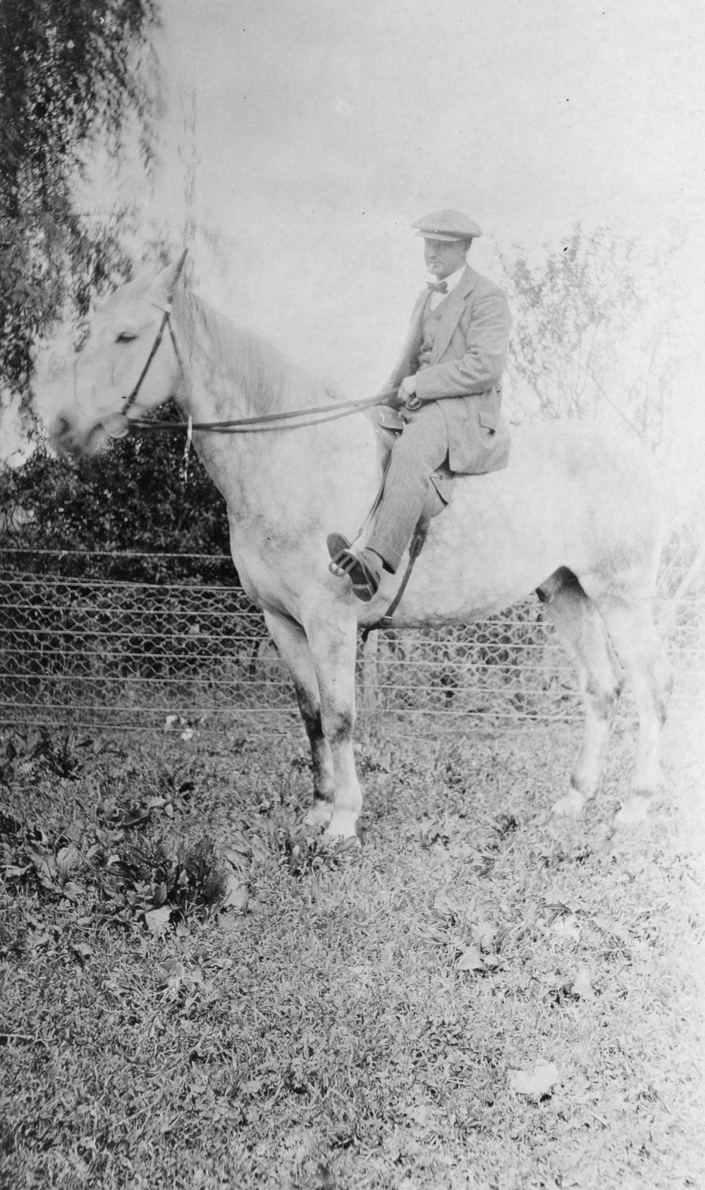Grey Horse with Gentleman Rider