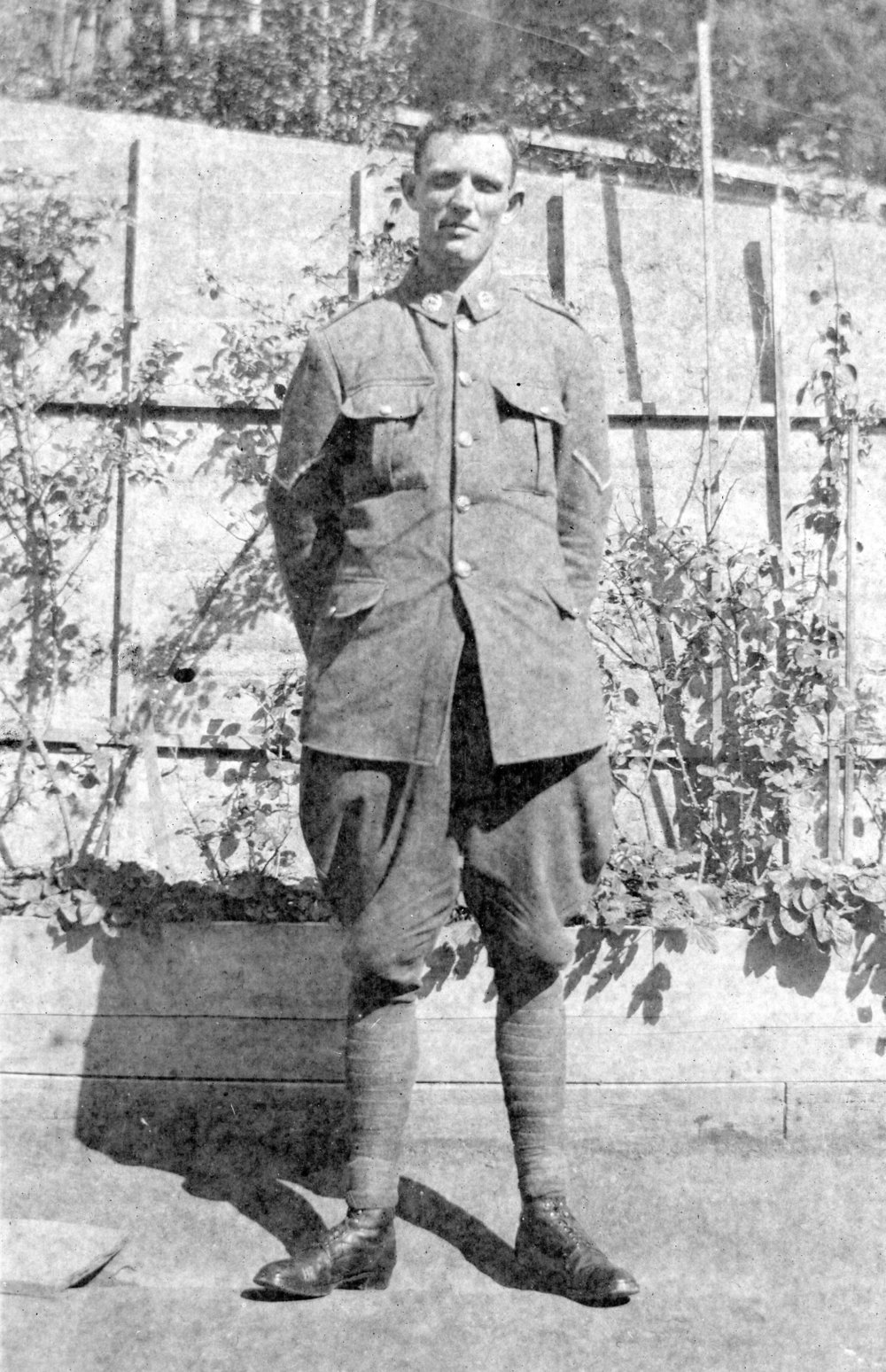 Roy Wellwood in NZ Expeditionary Forces Uniform, WW1