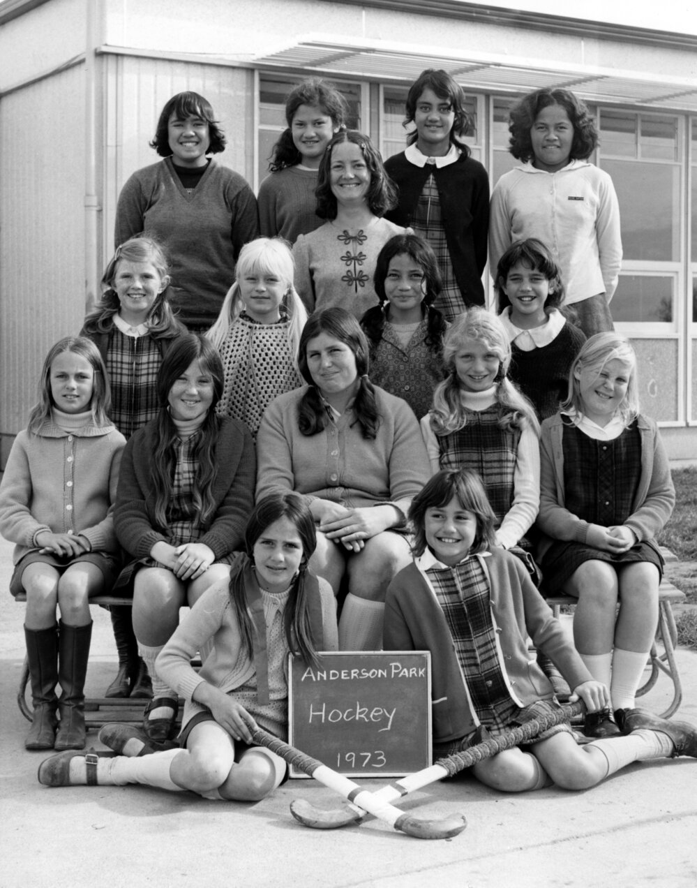 Anderson Park School Hockey Team 1973