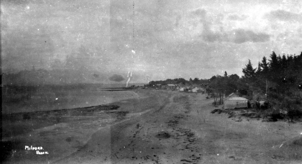 Milford Beach, Auckland