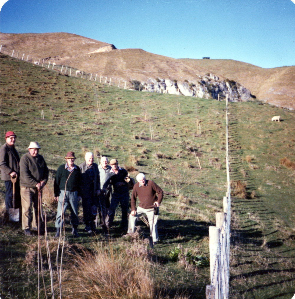 Tree Planting
