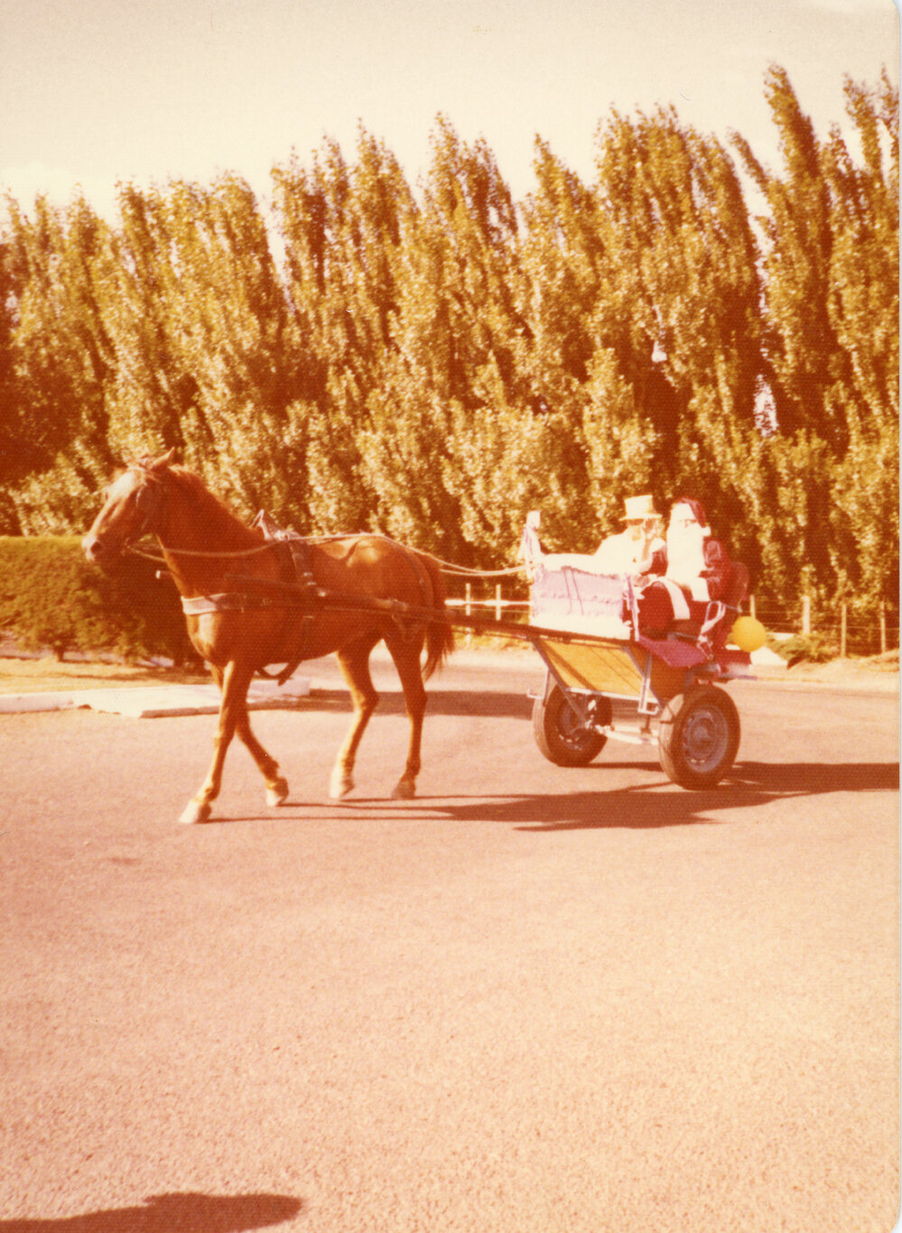Santa in a Horse Drawn Cart