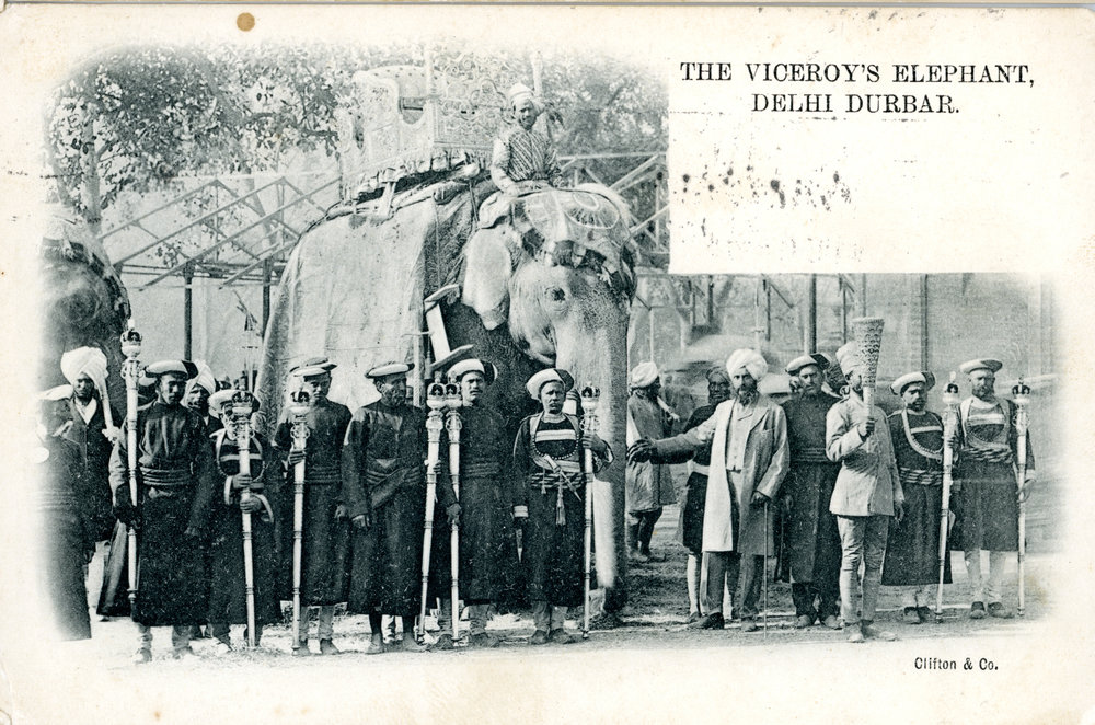 The Viceroy's Elephant