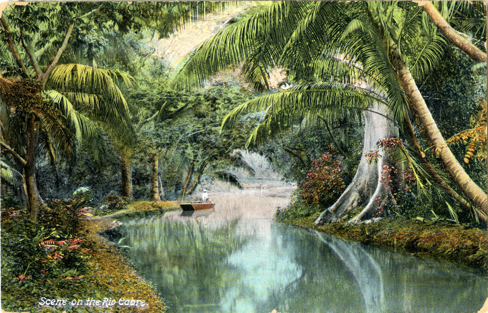 Jamaican Postcard