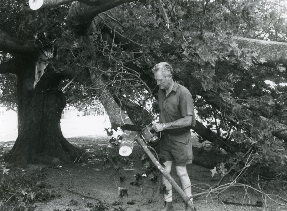 Cutting of Damaged Oak Tree, St Luke's Church