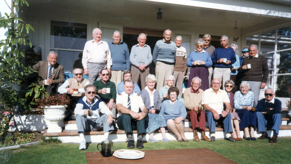 Group of Pakeke Lions and Others