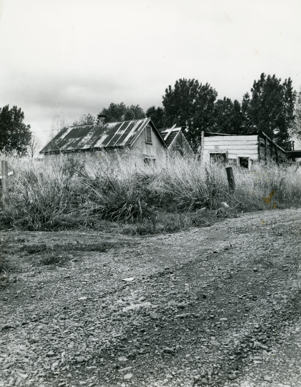 Derelict Buildings, Hawke's Bay