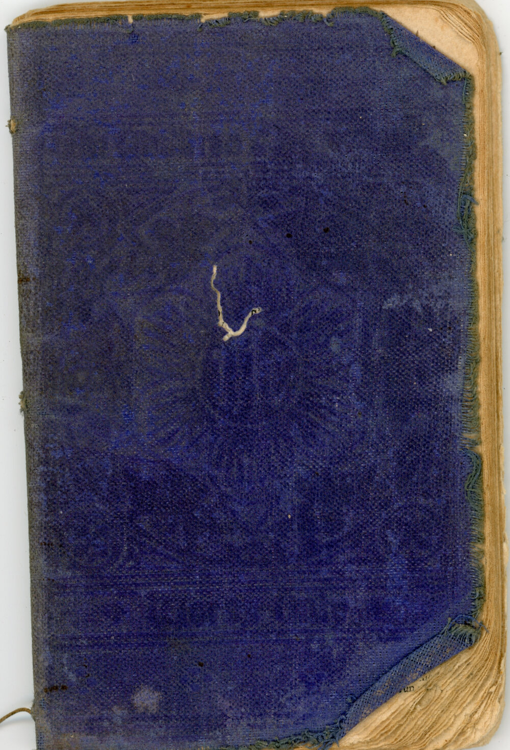 Children's Hymn Book