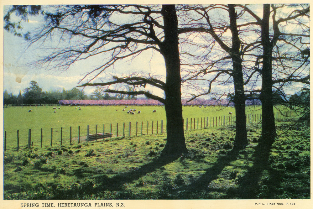 Spring Time, Heretaunga Plains