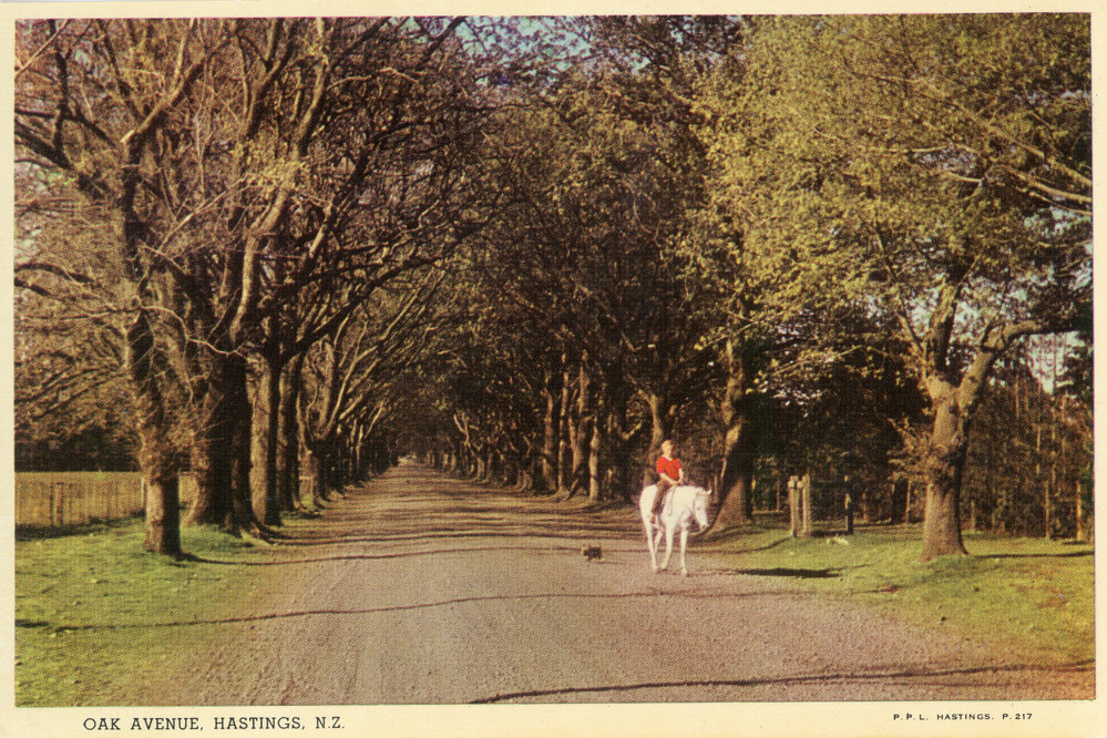 Oak Avenue, Hastings