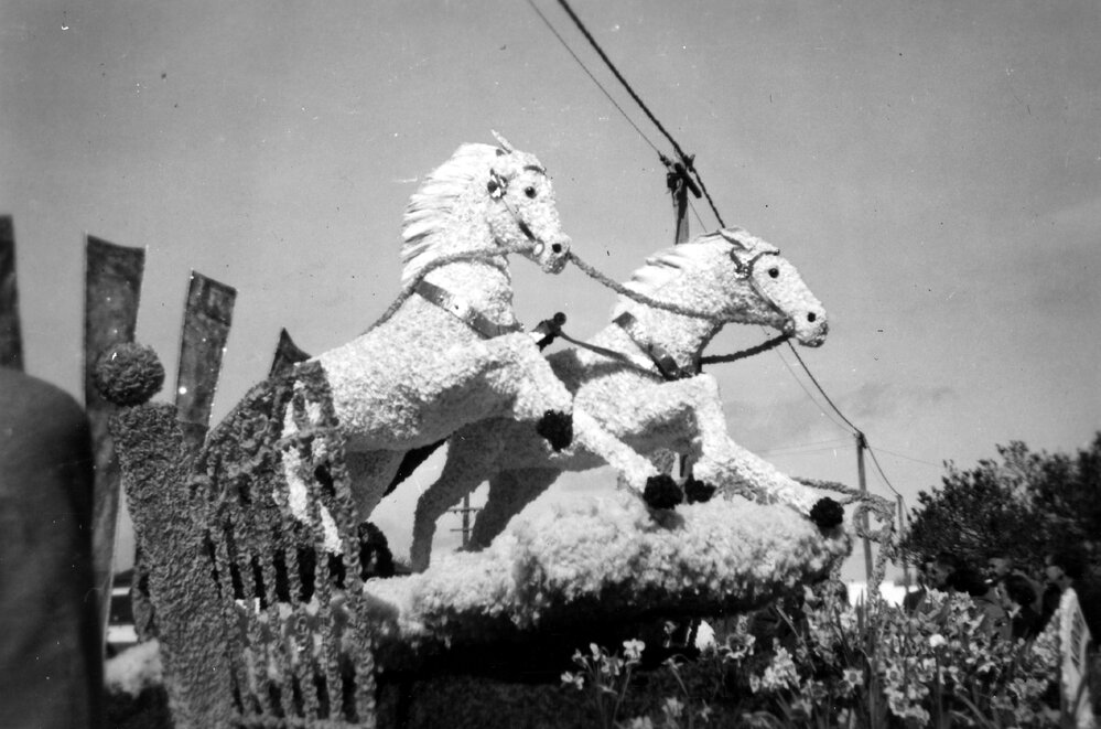 Hawkes Bay Farmers Float - Hastings Blossom Festival Parade 1956