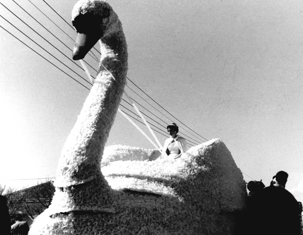 Swan Float - Hastings Blossom Festival 1959