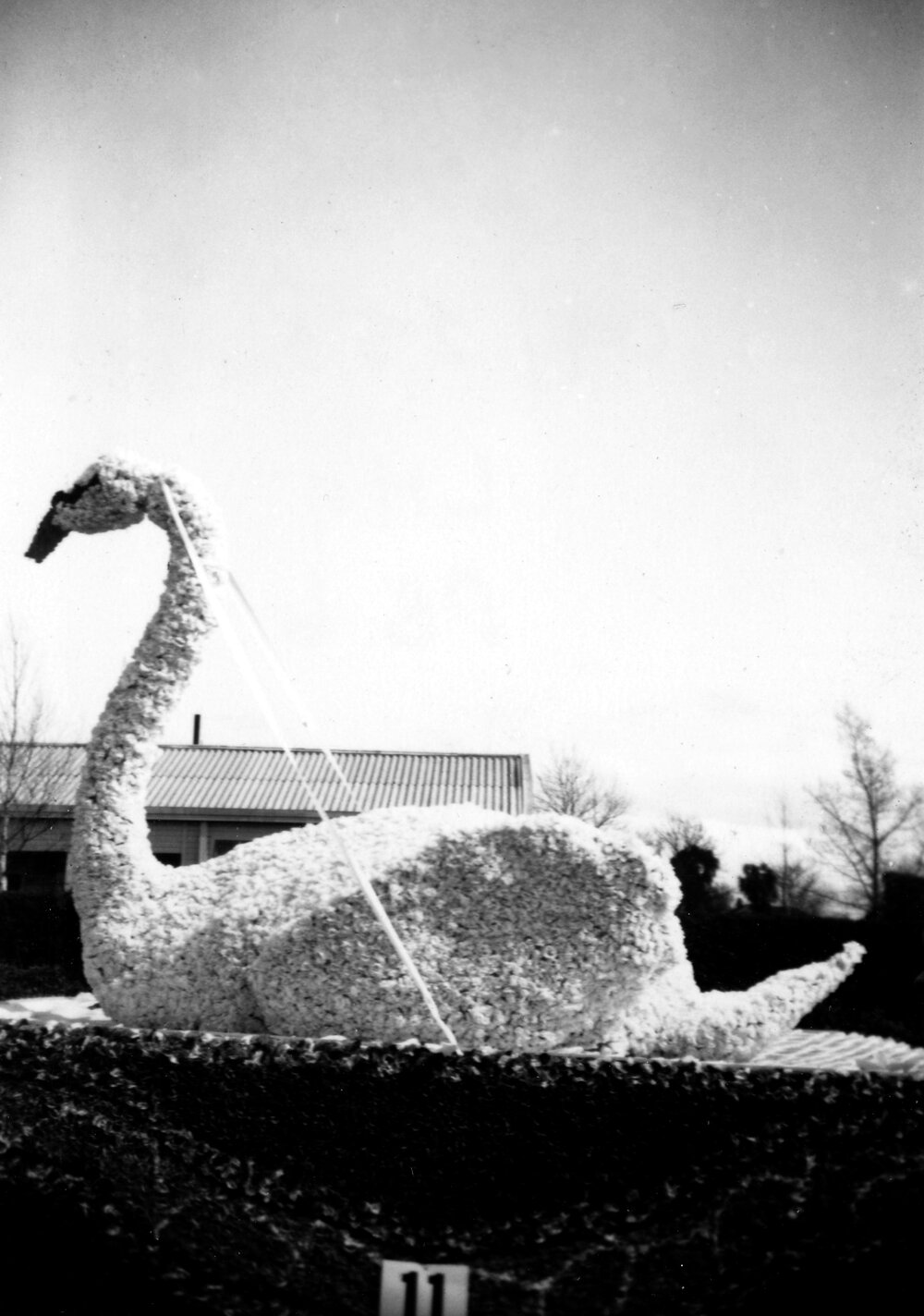 Griffiths Footwear Float - Hastings Blossom Festival 1952