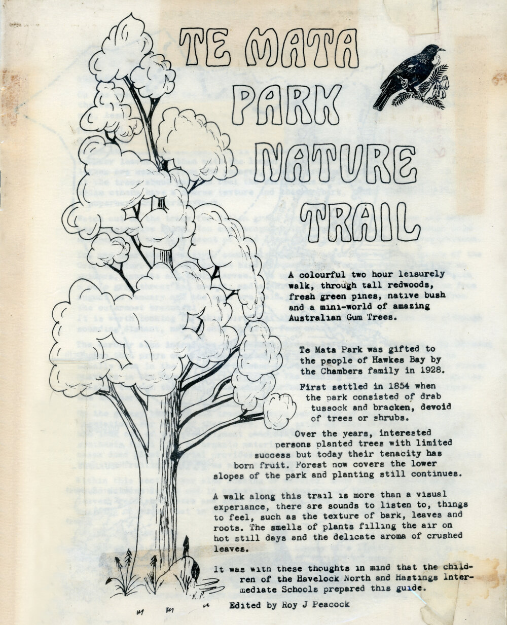 Te Mata Park Nature Trail