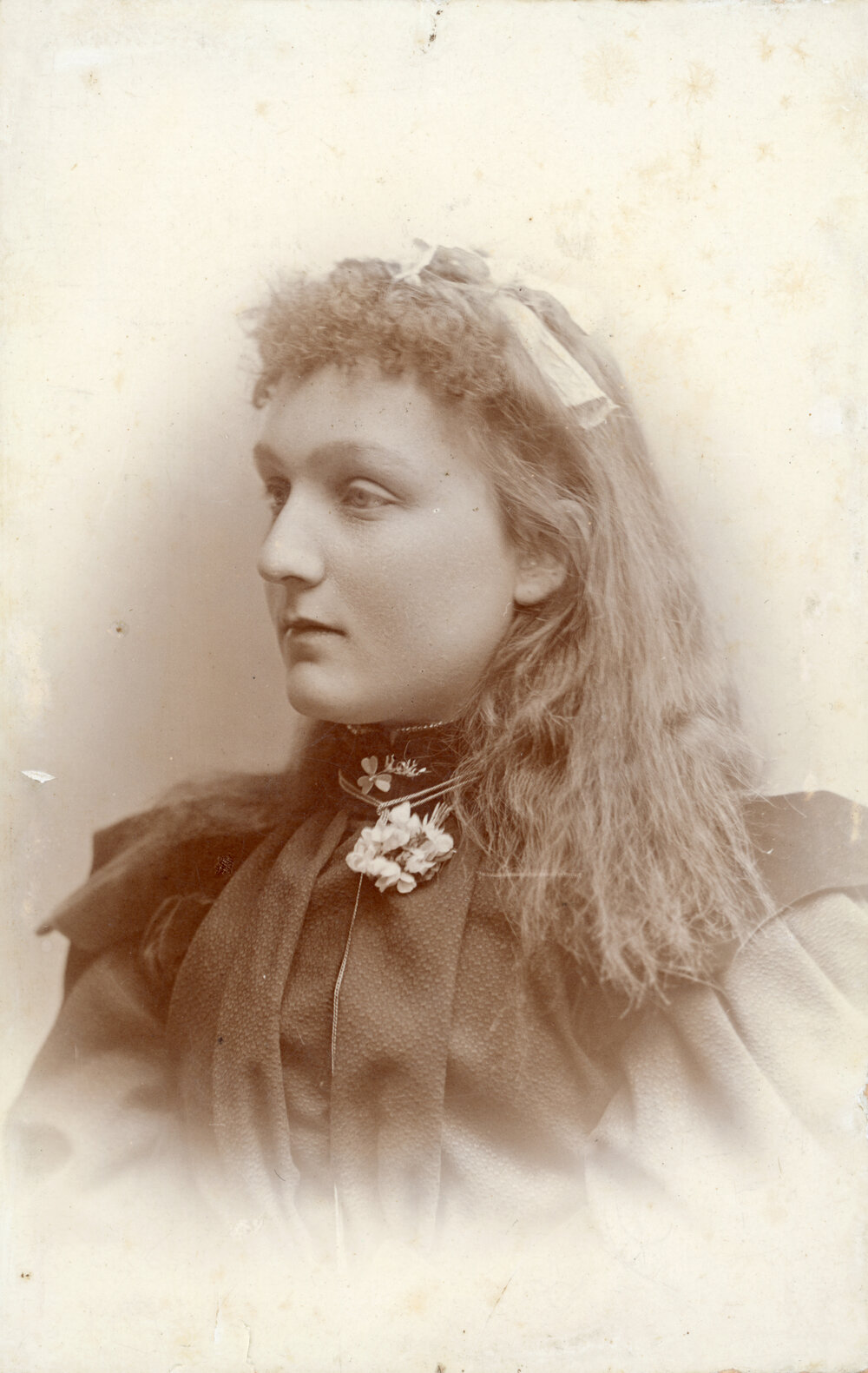 Studio Portrait of a Young Woman