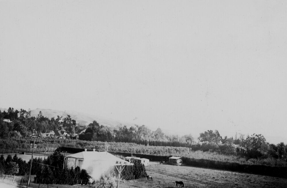 View from John Henry Joll's Paddock, Havelock North