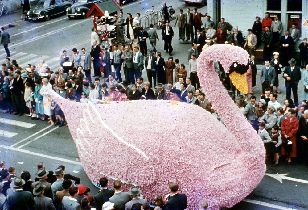 Swan Float - Blossom Festival Parade 1958