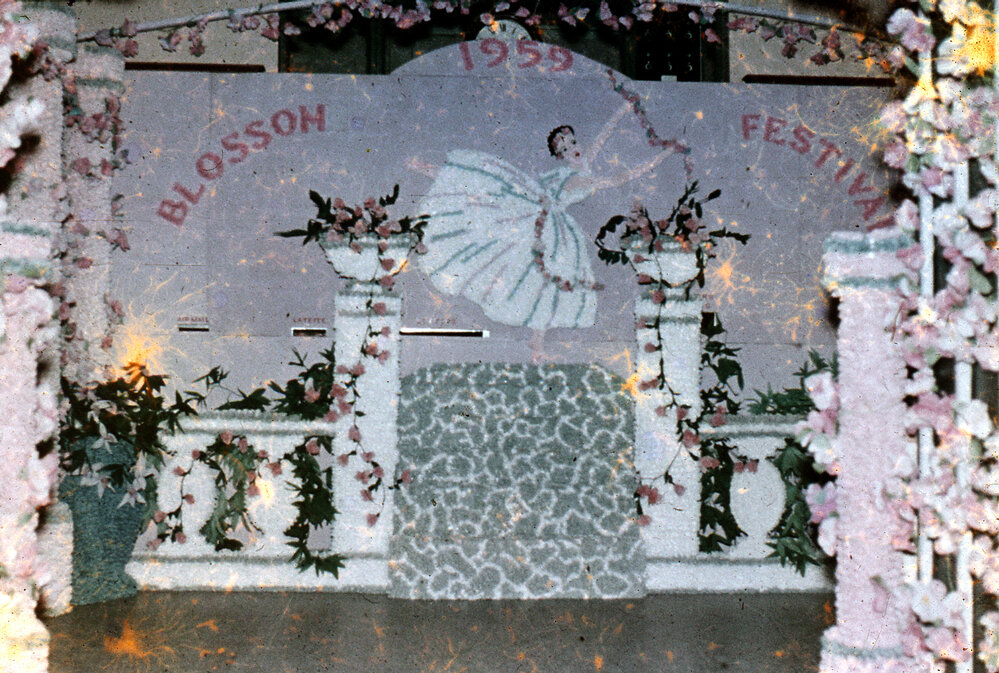 Hastings Post Office - Blossom Festival 1959