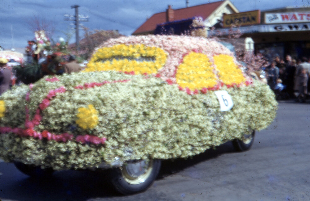 Decorated Car -  Hastings Blossom Festival Parade 1953
