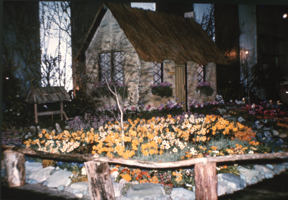 "Devon Cottage" - Hastings Blossom Festival 1963