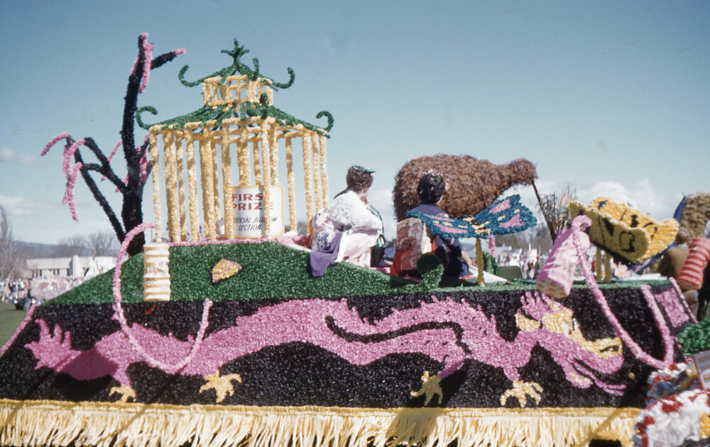 Madame Butterfly Float  - Hastings Blossom Festival 1962