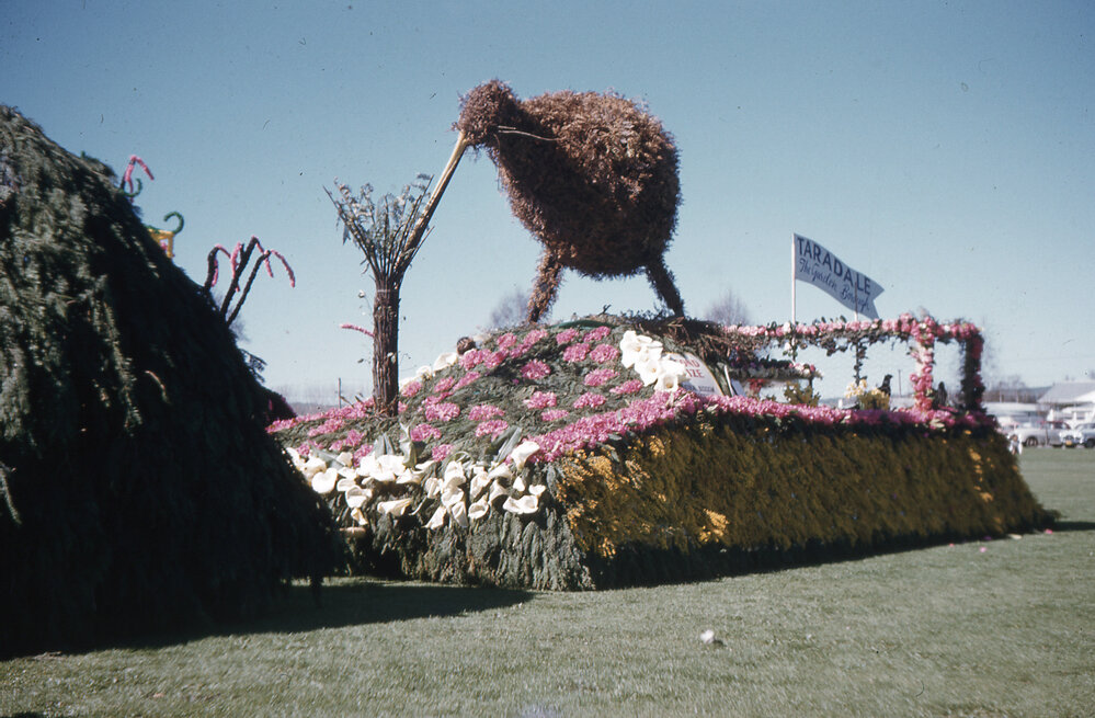 Taradale Advancement Society Float 1962