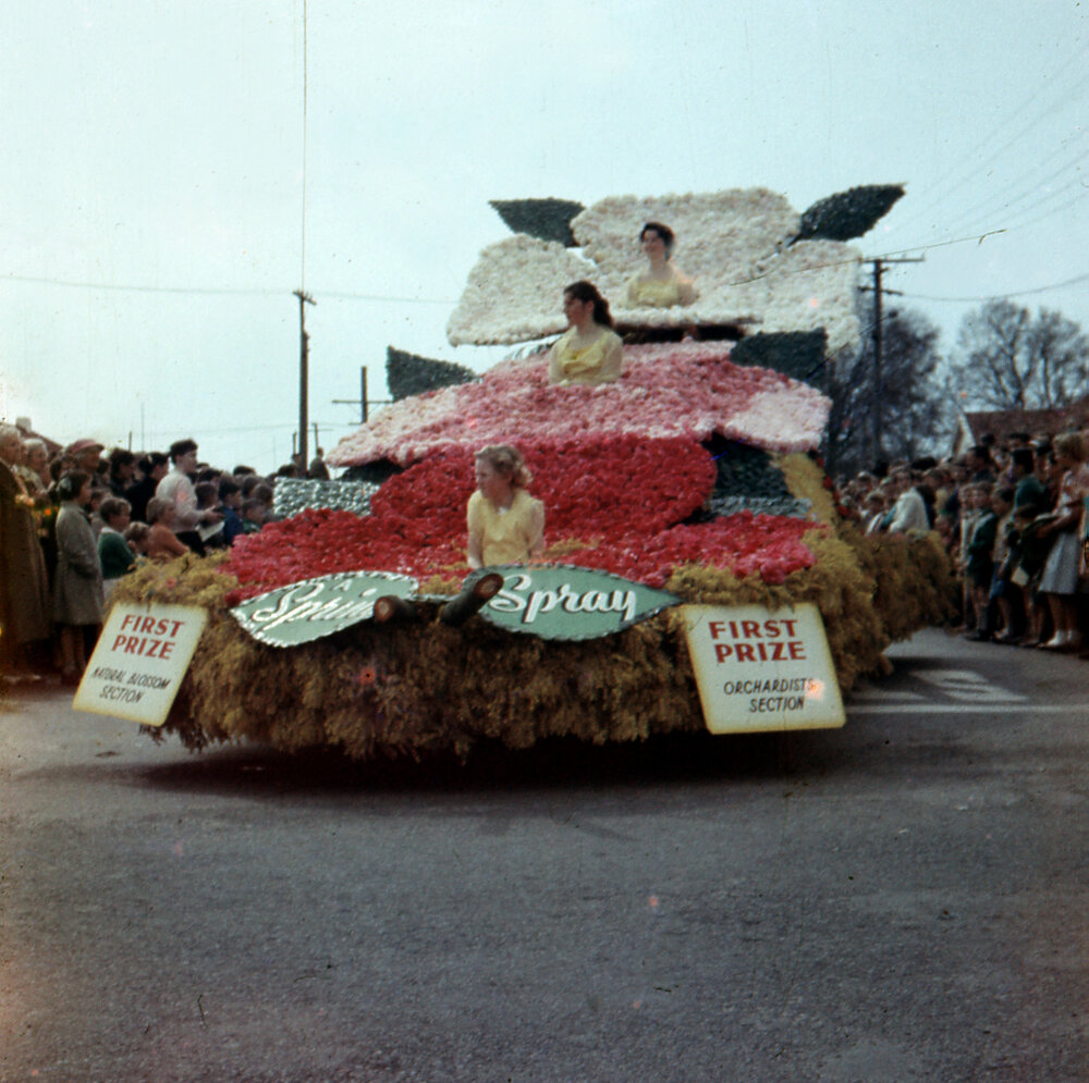 Thodeys Orchard Float - Hastings Blossom Festival Parade 1958