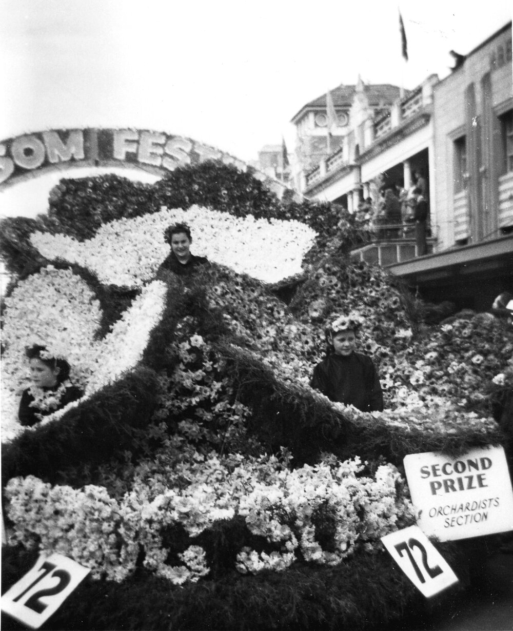 Pernel Orchard Float - Blossom Festival Parade 1958