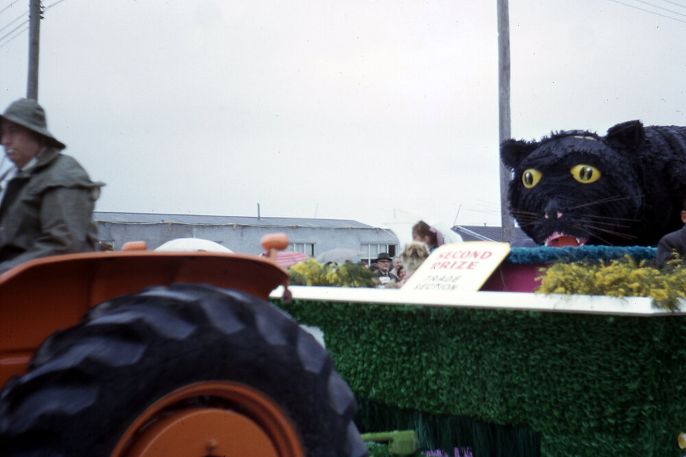 Hastings Milk  Treatment Float 1965