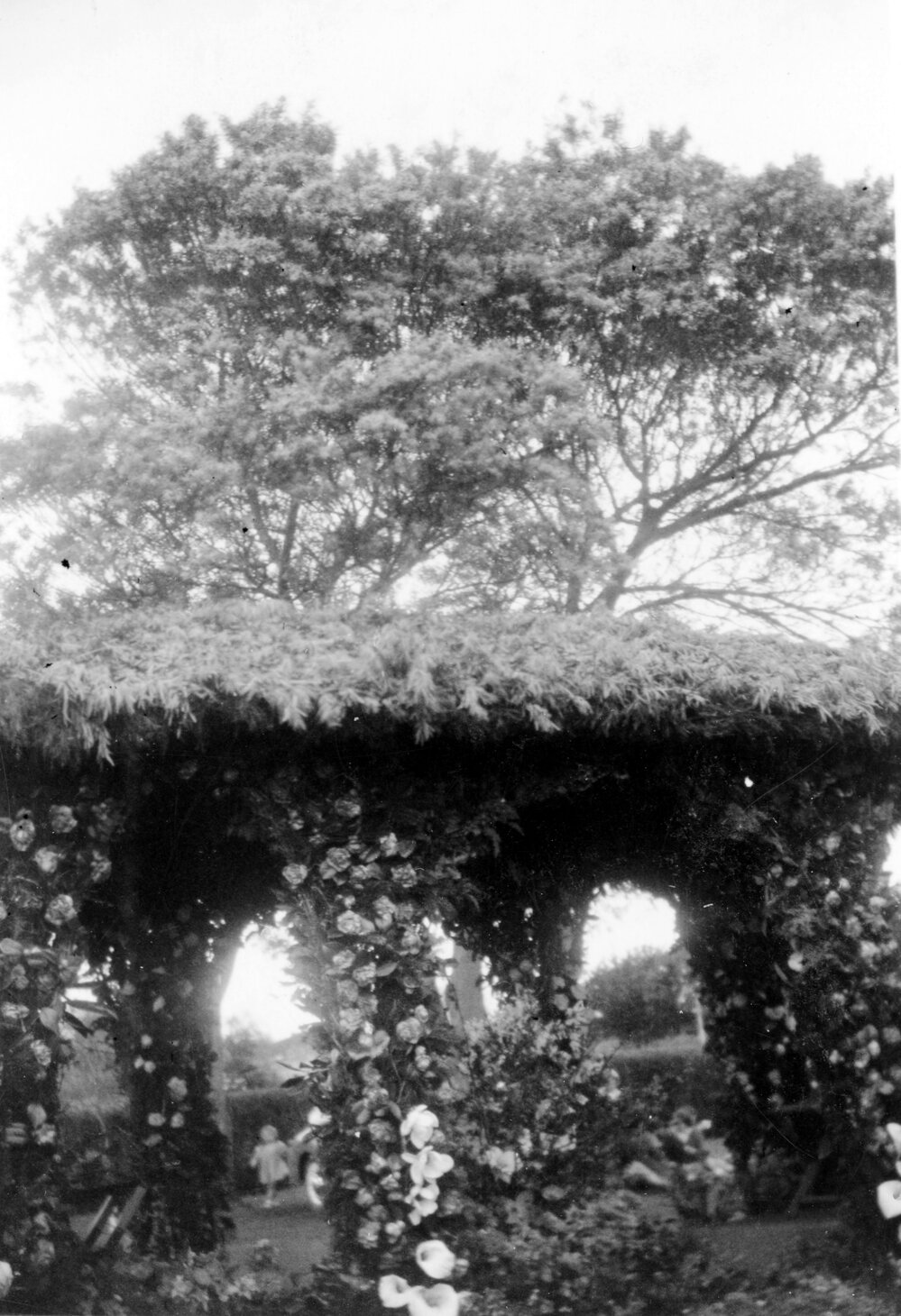 Hastings Borough Council Float - Hastings Blossom Festival 1954