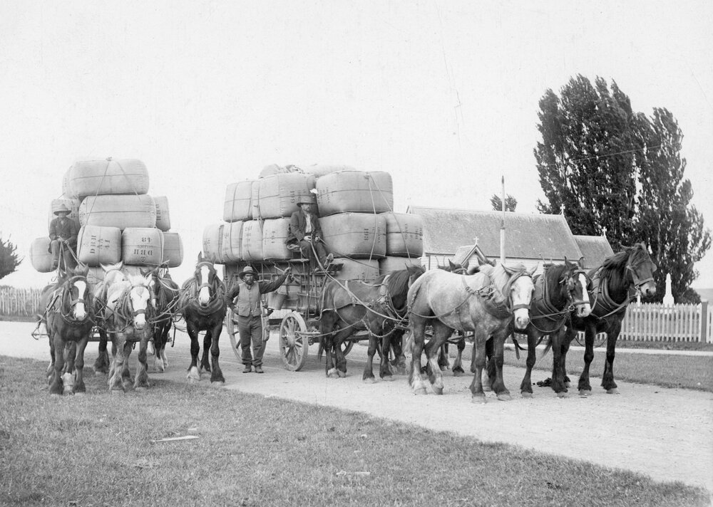 Horses with Wool Wagons