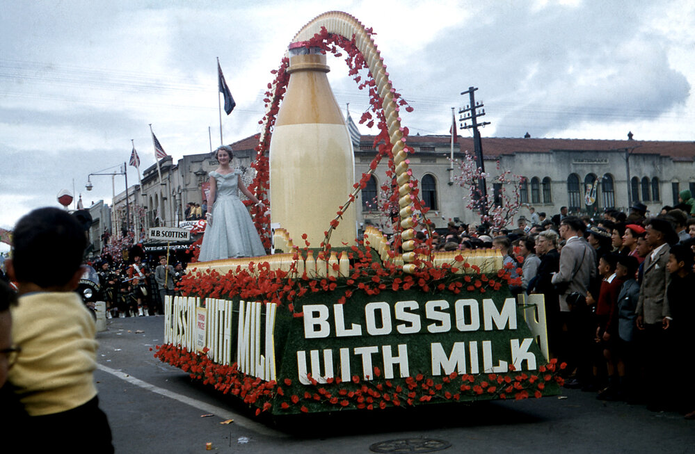 Blossom with Milk 1957