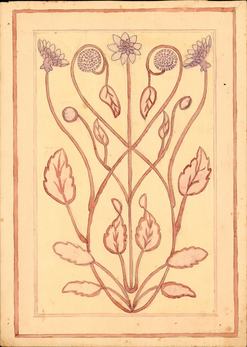 Flower and Leaf Drawing