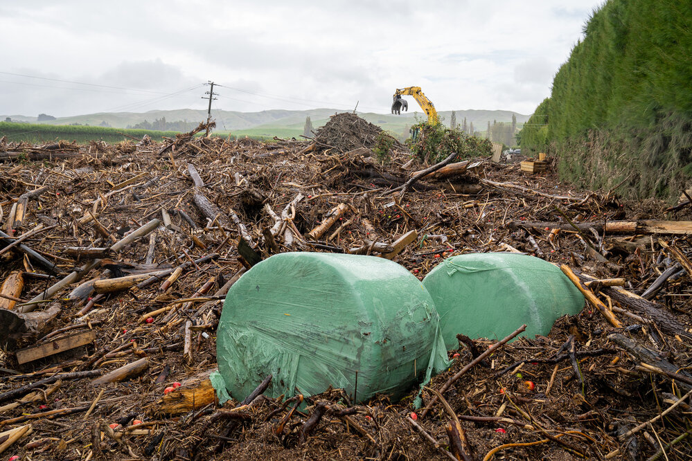 Orchard on Puketapu Road