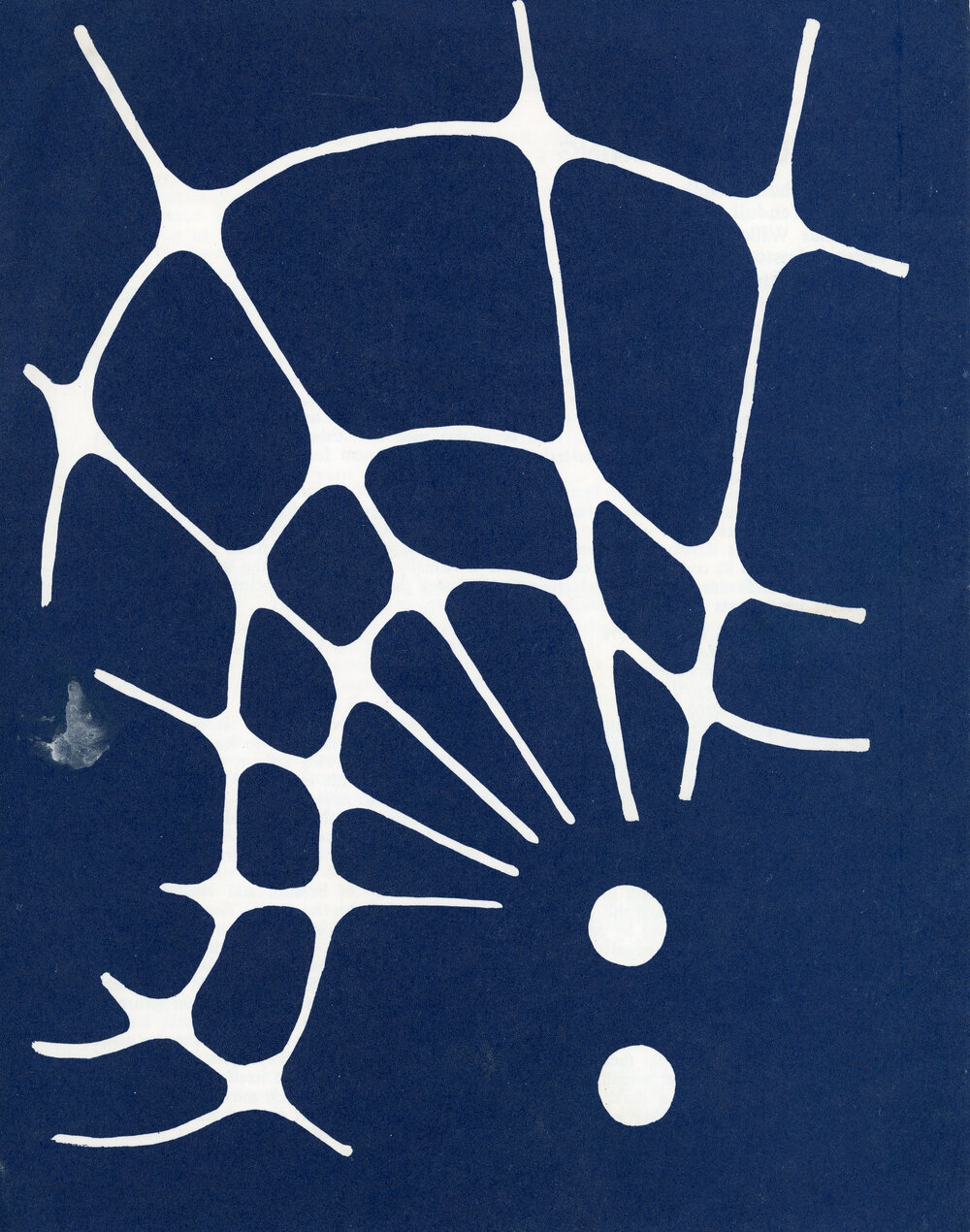 A Schubert Evening Programme 1975