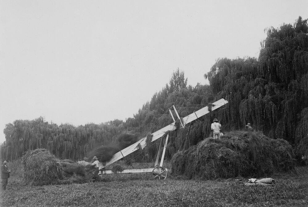 Building Haystacks at Twyford Station