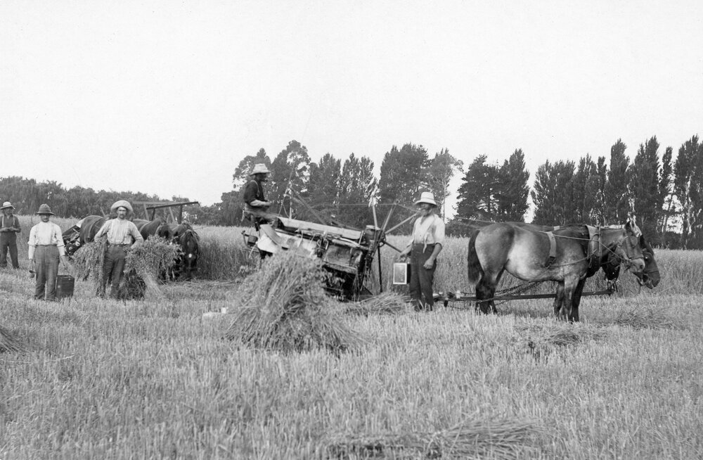 Mowing Crops at Twyford Station